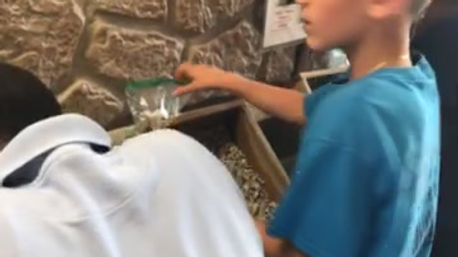 Diamond Del's Gem Mining Field Trip